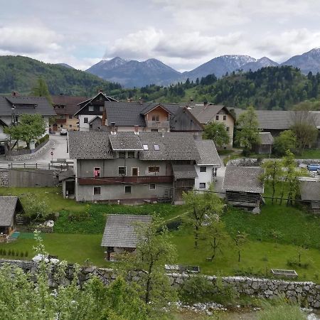Apartma Pr Pekovcu ボーヒニ エクステリア 写真
