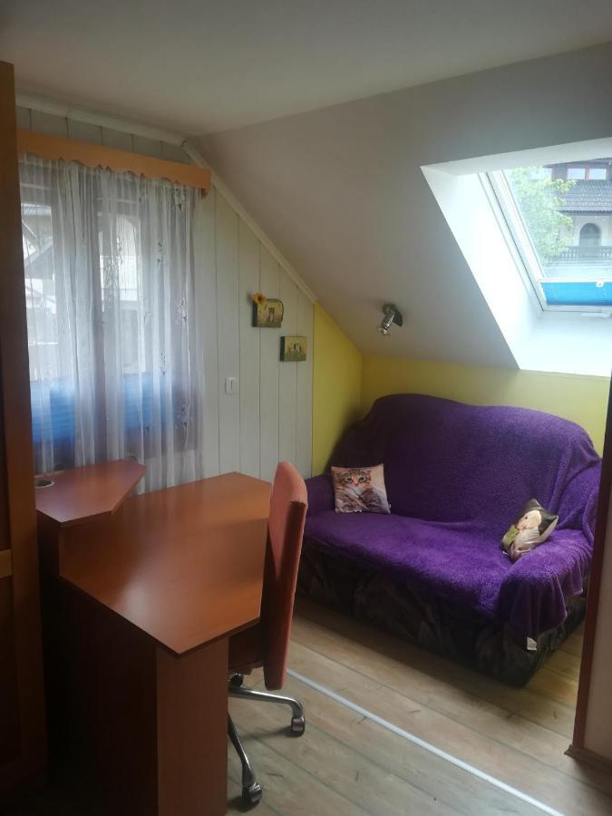Apartma Pr Pekovcu ボーヒニ エクステリア 写真